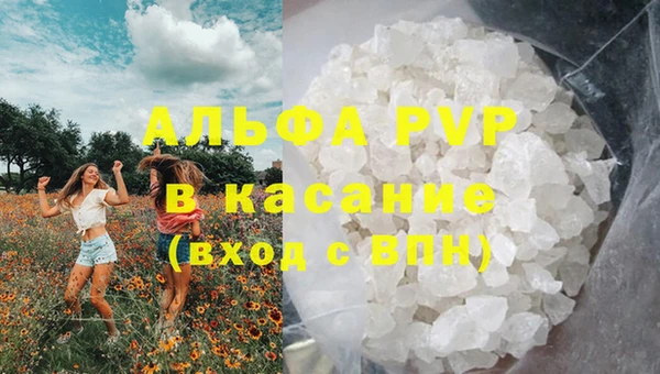 шишки Дмитровск