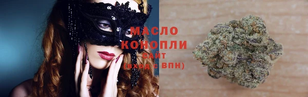 МДПВ Гусев