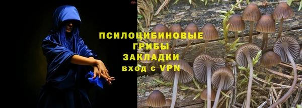 МДПВ Гусь-Хрустальный