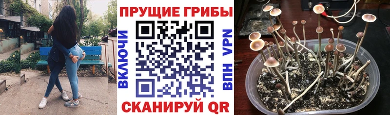 Галлюциногенные грибы Psilocybine cubensis  ссылка на мегу   Мариинск 