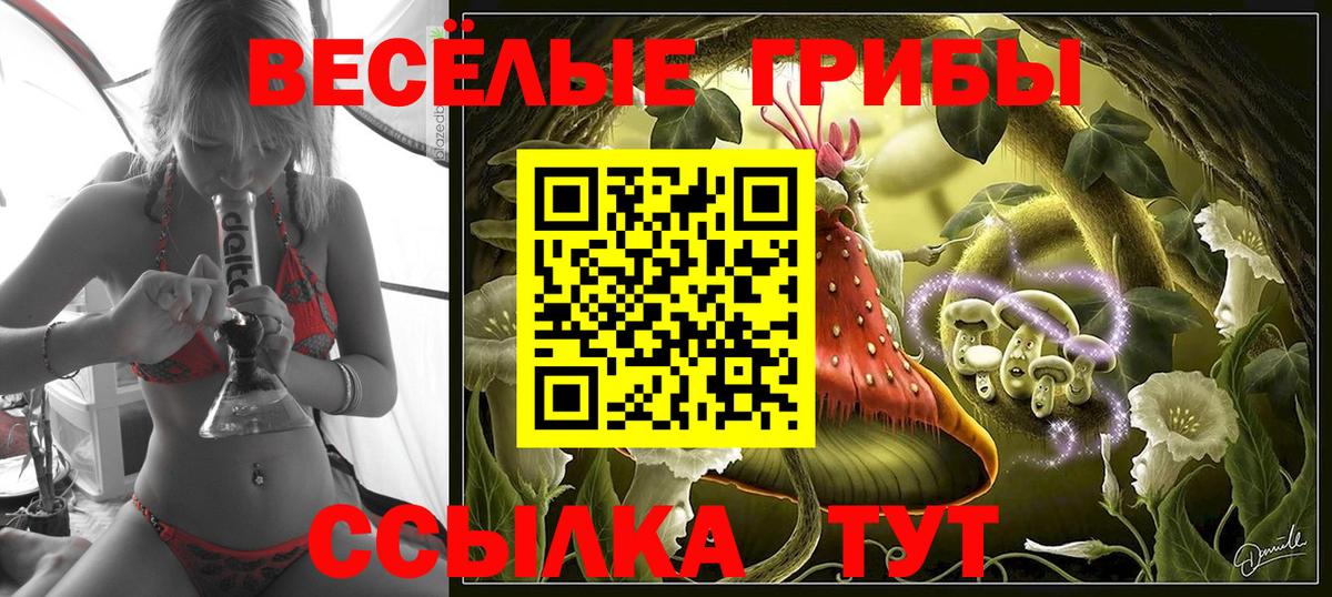 Псилоцибиновые грибы GOLDEN TEACHER  Вход с VPN  Галлюциногенные грибы Cubensis  Мариинск 