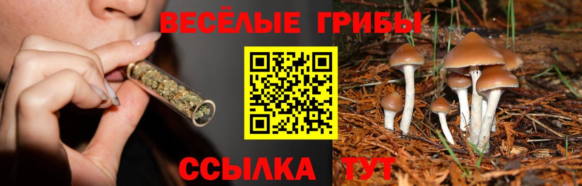 Псилоцибиновые грибы мицелий Мариинск